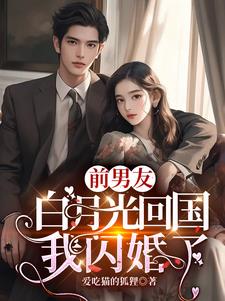 前男友白月光回国我闪婚了