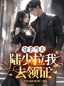 分手当天陆少拉我去领证